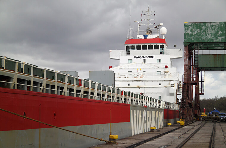 Dry cargo sea transport Gdynia Poland - Arion Shipping