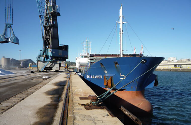 Dry cargo sea transport Gdynia Poland - Arion Shipping